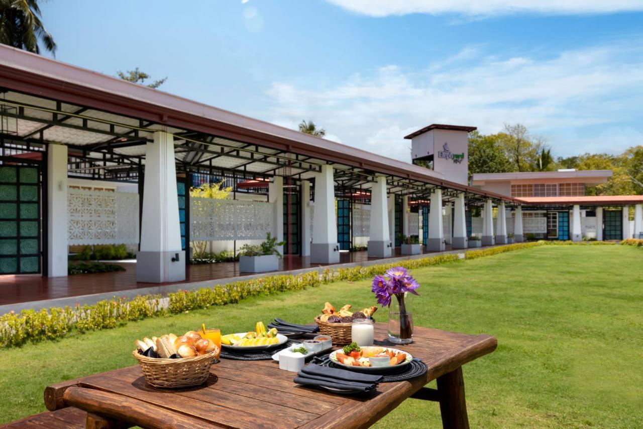 מלון מאייאנגאנאיה Elephyard Retreat מראה חיצוני תמונה